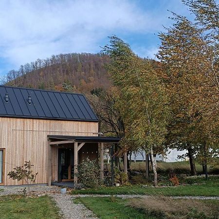 Gorskie Progi Goworow Bagian luar foto