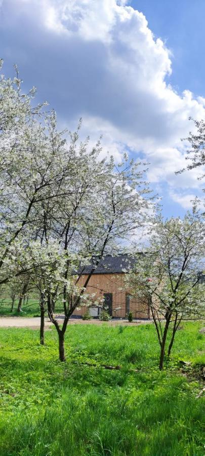 Gorskie Progi Goworow Bagian luar foto